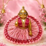 Pink feathered Poshak - 6